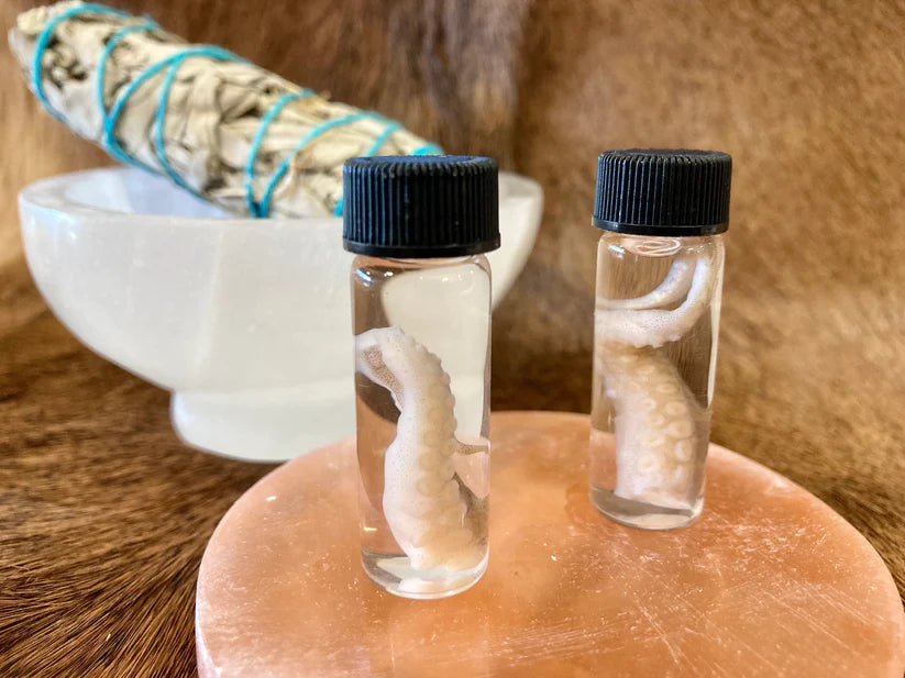 Octopus Tentacle Vials
