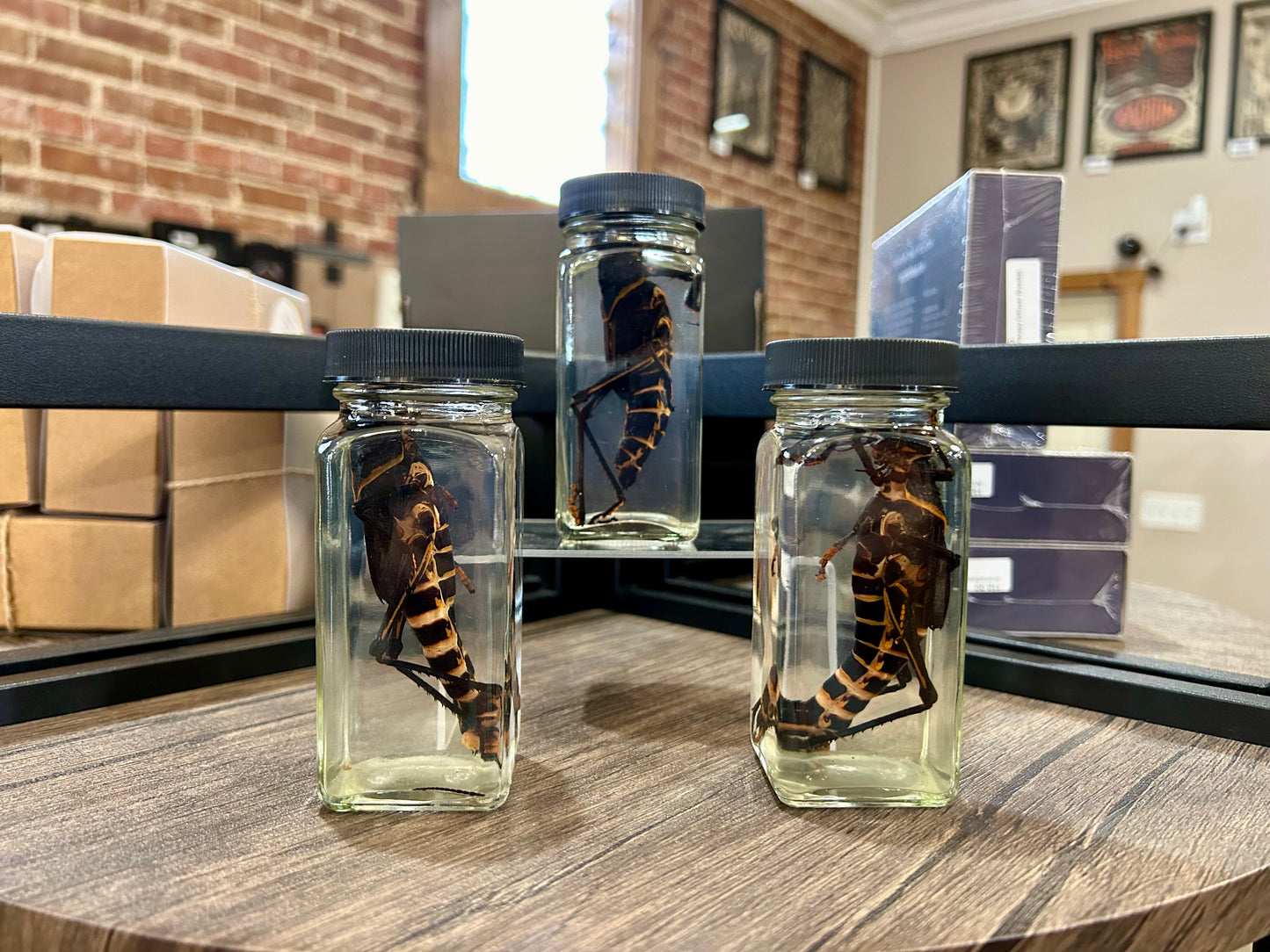 Grasshopper Jars