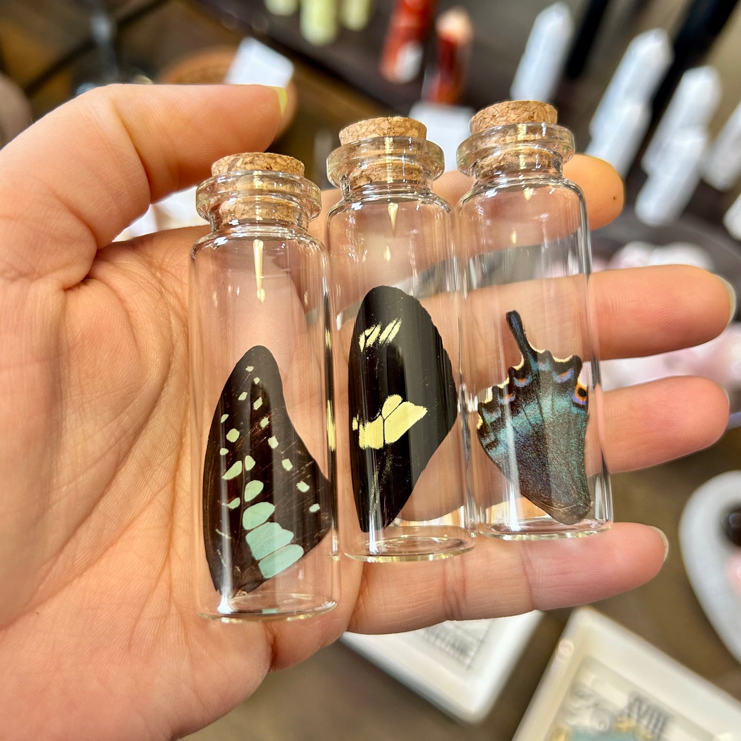 Butterfly Wing Vials
