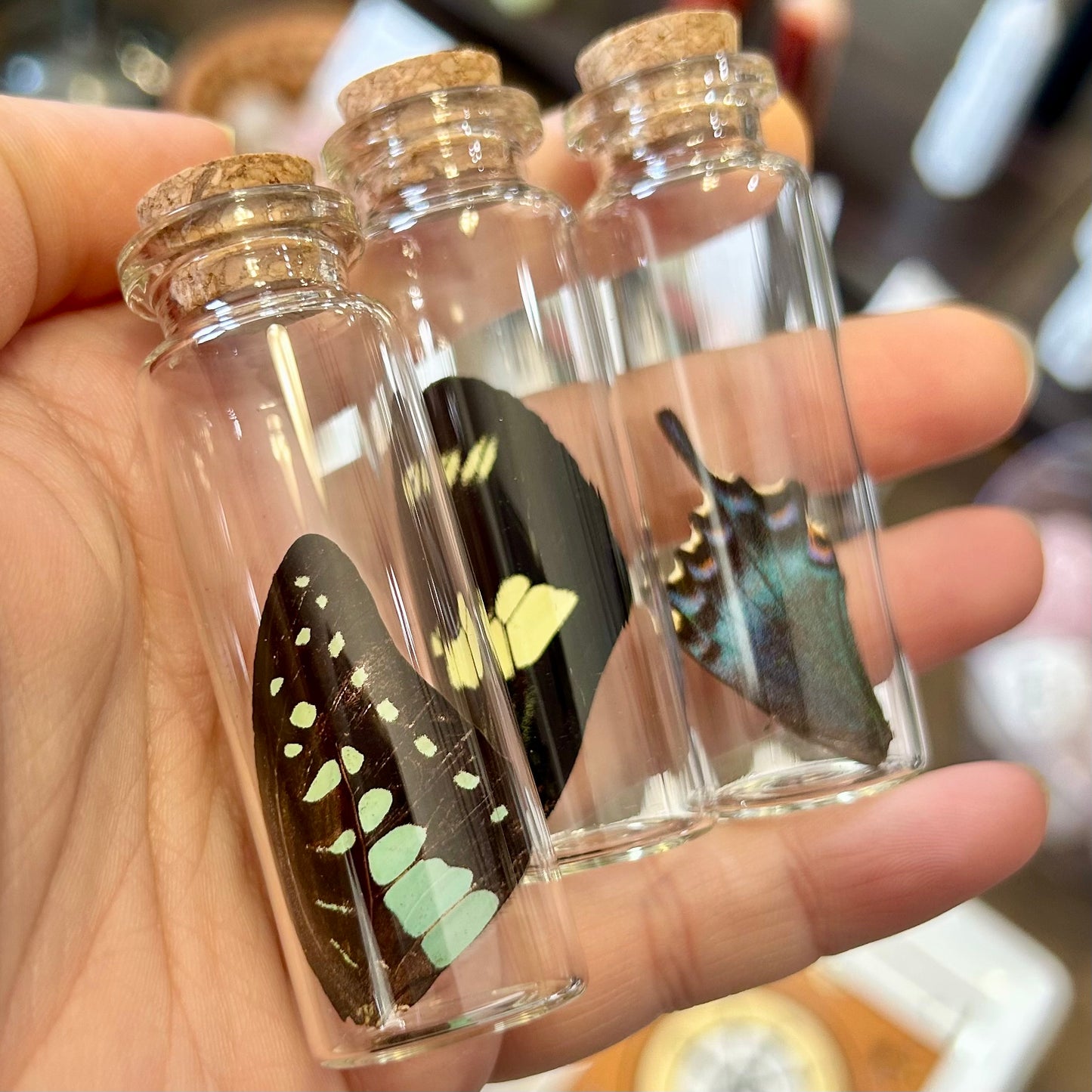 Butterfly Wing Vials