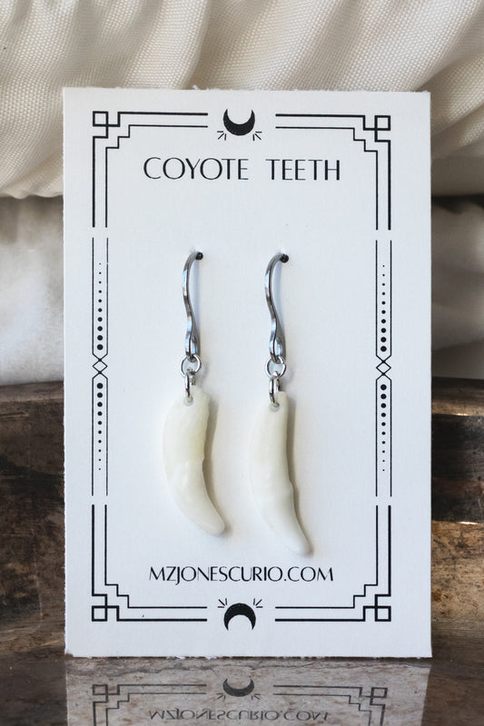 Coyote Teeth Earrings
