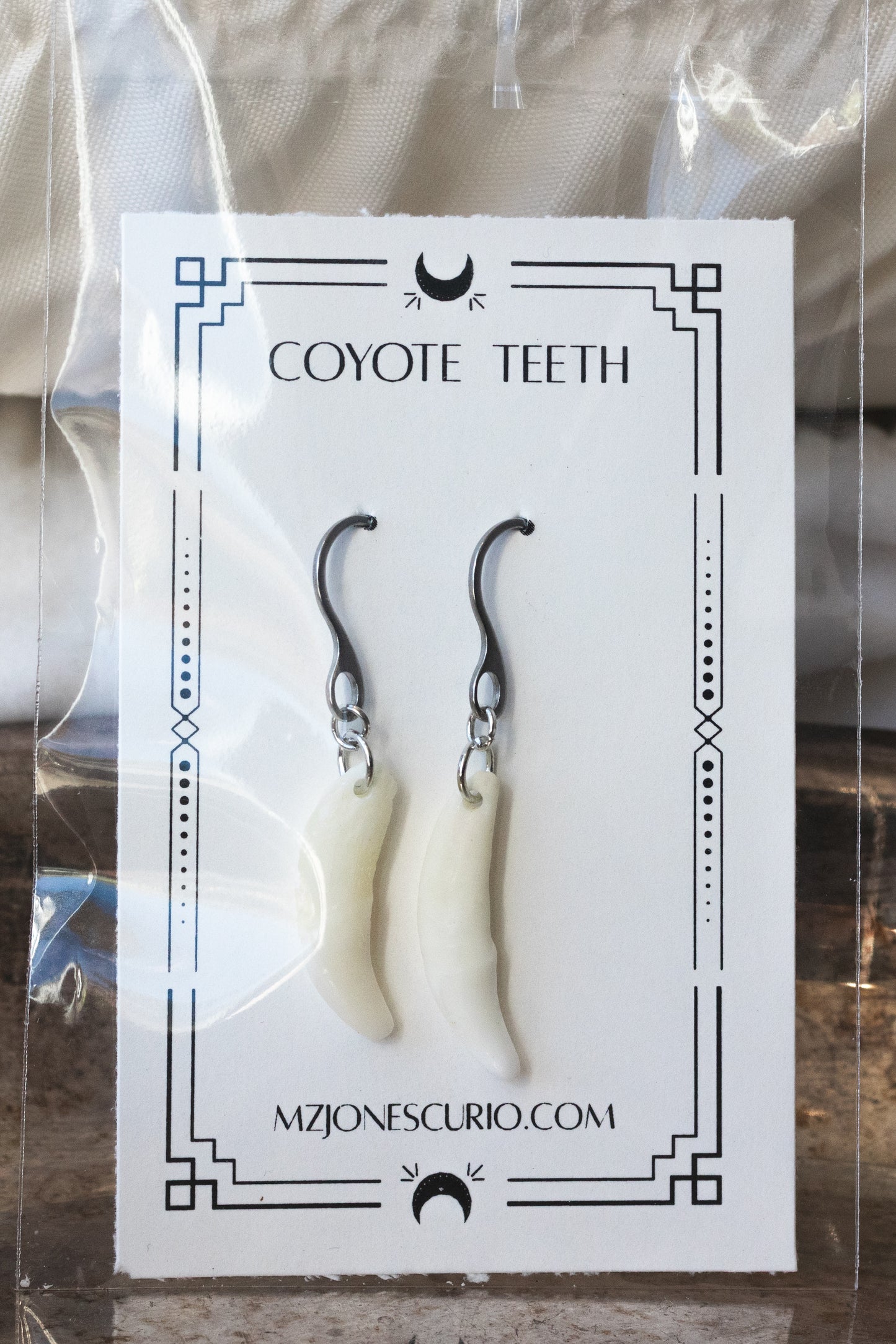 Coyote Teeth Earrings